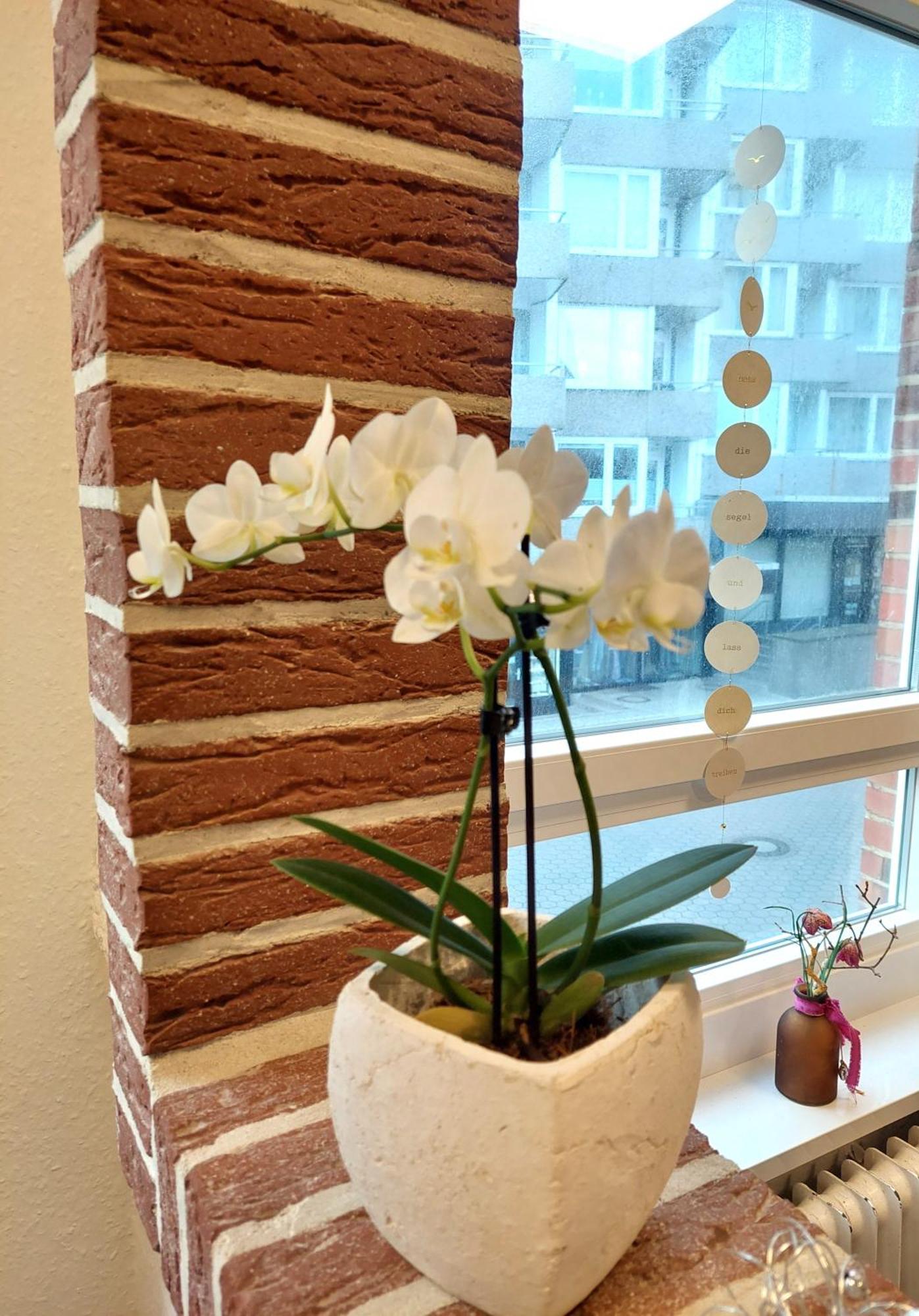 Hotel Villa Weststrand 보르쿰 외부 사진